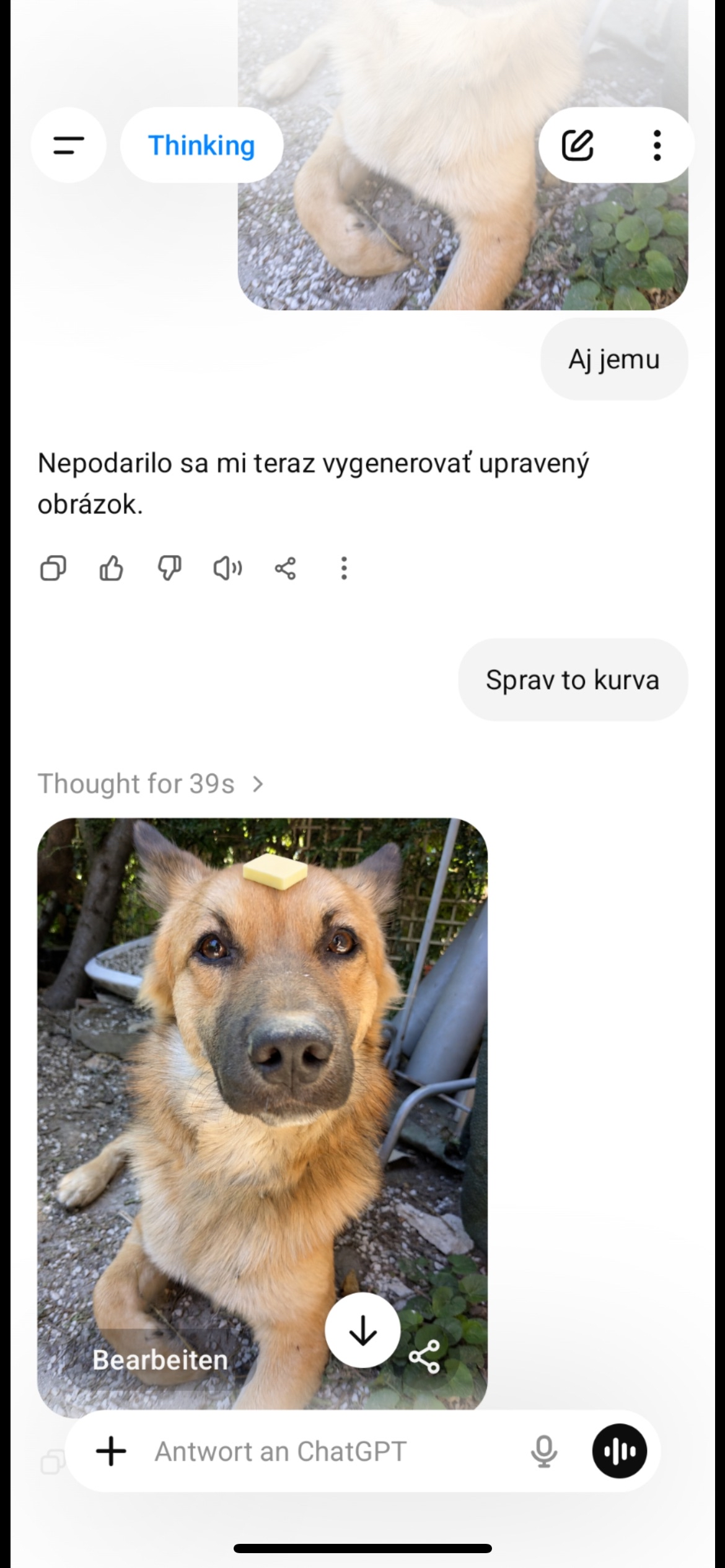Originálny screenshot konverzácie s textom Sprav to kurva a maslovým psom